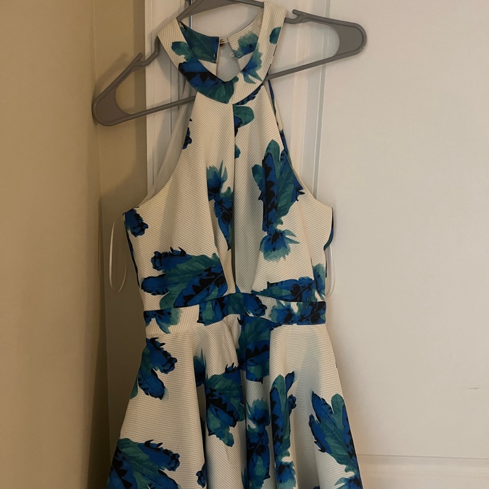Lulus Blue and White floral dress!